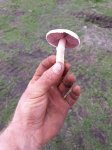 20180912_111054.jpg