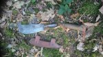 DSC_0910.JPG