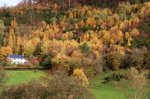 autumn colours - 2048 - 25.jpg