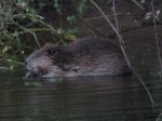 IMG_1856.JPG
