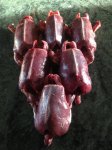 ducks - skinned.jpg