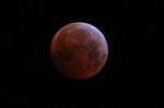 blood moon 2 - 1024 - 25 -  _2019_01_21_0916.jpg