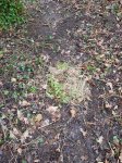 IMG_20190130_173946.jpg