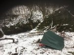 Tarp - 2.JPG