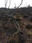 20130617_140327.jpg