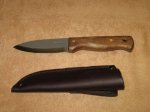 Condor-Bushlore.jpg