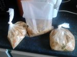 bag2.jpg