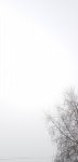 20190329_082325.jpg