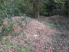 IMGP0558.jpg