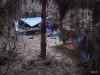 P1010010.jpg