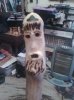 My stick carving.jpg