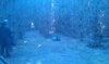 IMAG0173.jpg