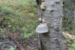 IMG_3881.JPG