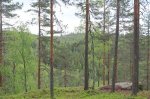 IMG_3884.JPG