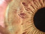 P8310018 - my eye - 2.jpg