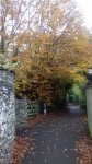 20181105_135535.jpg
