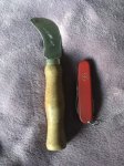 image.jpeg