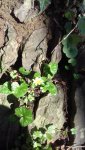 20200110_130619.jpg