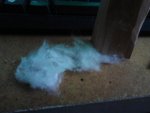 feather stick.jpg