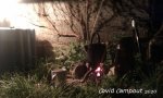 covid-campout-2020.jpg