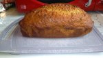 IMG_20200428_150340.jpg