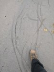 IMG_20200307_143048.jpg