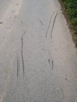 IMG_20200606_132219.jpg