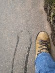IMG_20200610_132141.jpg