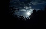 20200828_235804.jpg
