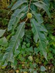 IMG_20200905_161703.jpg
