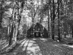 Redbarn_BushMoot.jpg