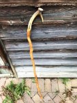 ugly stick 1.jpg