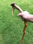 ugly stick 2.jpg