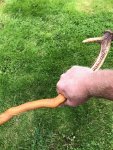 ugly stick 4.jpg