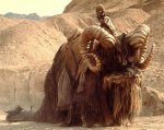 bantha1.jpg
