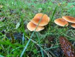 20201023_132745.jpg