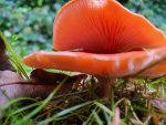 20201028_120127.jpg