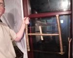 IMG_20201030_192902.jpg