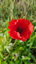 20201107_102738.jpg