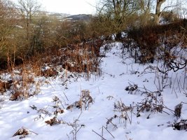 snowy track - 1920 - 25 - TG551109.jpg
