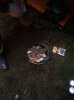 IMG-20120511-00148.jpg