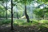 DSC_0103.jpg
