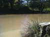 IMG_1365.jpg
