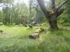 sussex group camp 23-5-12 001.jpg