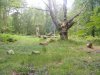 sussex group camp 23-5-12 002.jpg