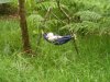 sussex group camp 23-5-12 005.jpg
