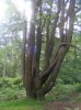 sussex group camp 23-5-12 010.jpg