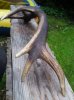 DSC06516.jpg