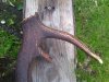 DSC06518.jpg
