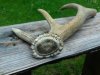 DSC06532.jpg